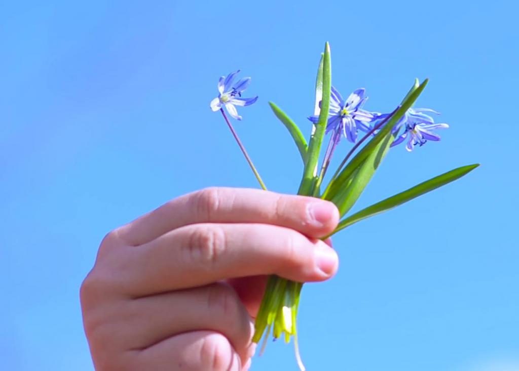 träumen blaue Blumen