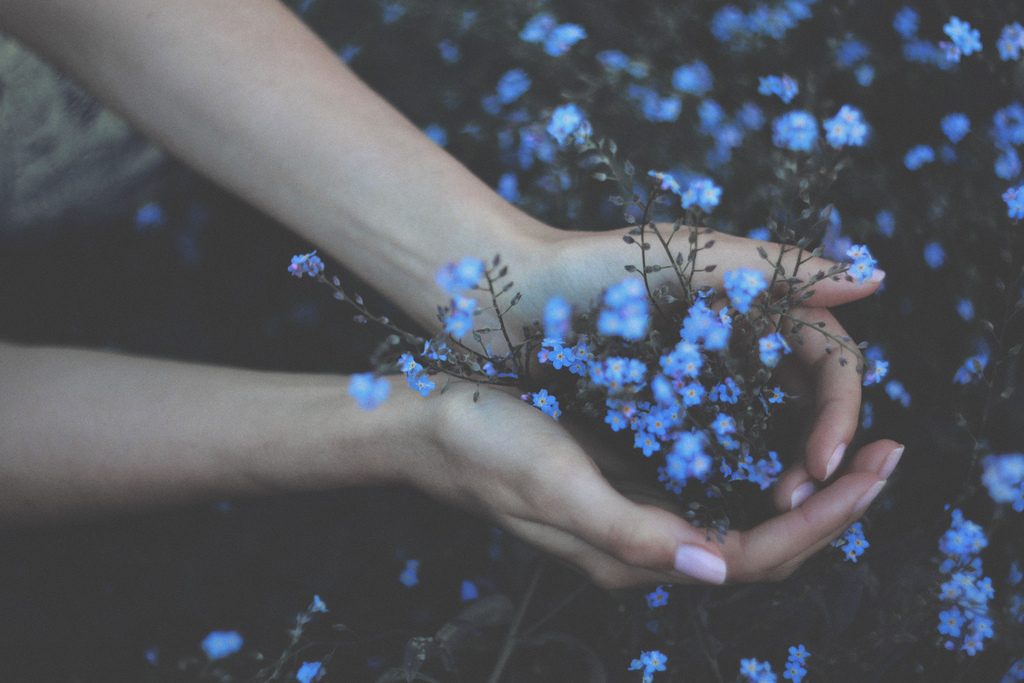 Traum Bouquet von blauen Blumen