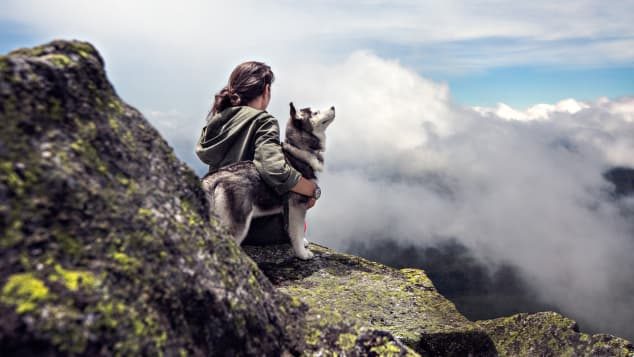 warum träumen verheiratete frauen von hunden?