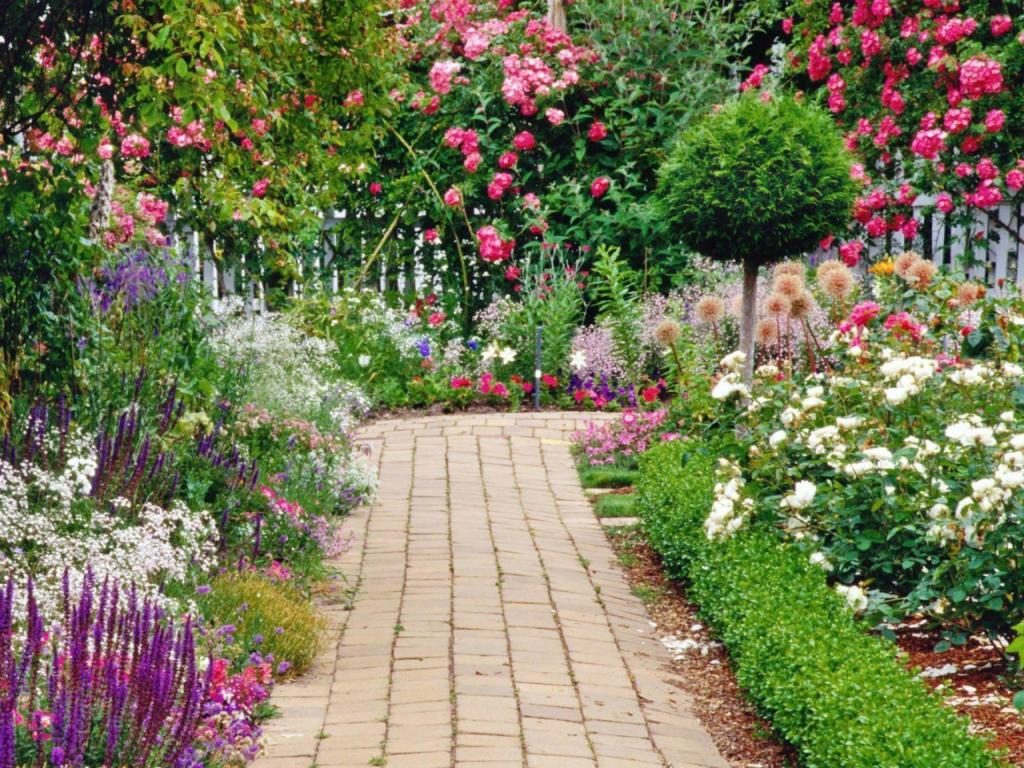 Ein Garten mit vielen Blumen