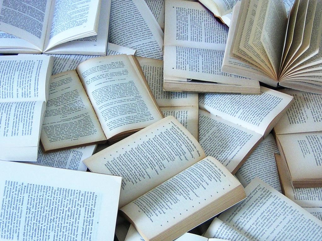 Viele Bücher