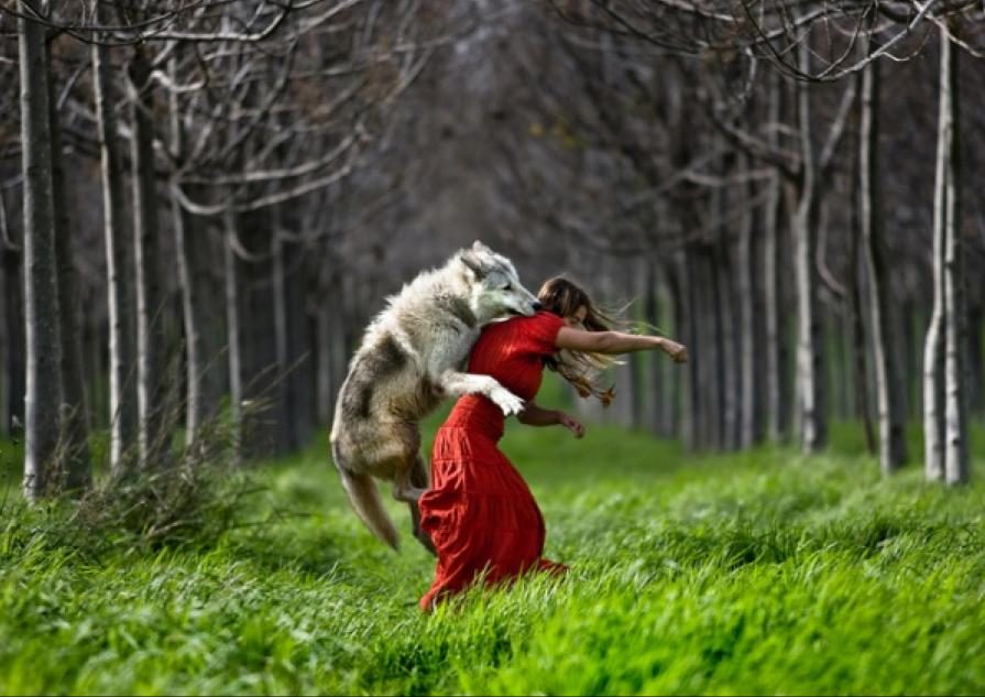 im traum von einem wolf in die hand gebissen