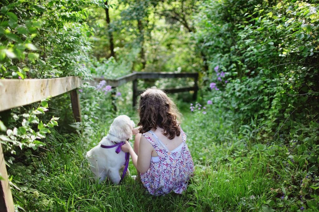 einen hund im traum umarmen und weinen