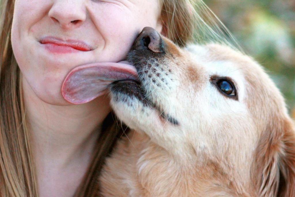 Anhänglicher Hund