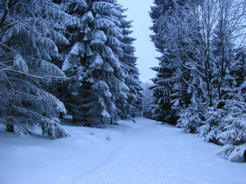 Was zu träumen über den Winter im Sommer