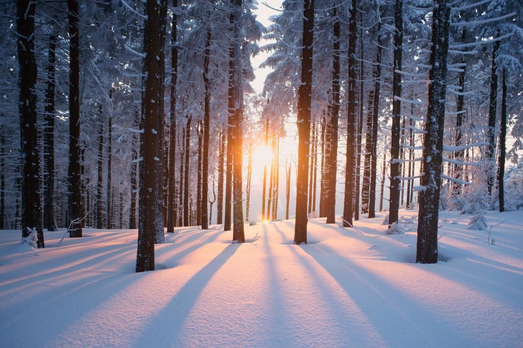 Was träumt man von Winter und Schnee im Sommer