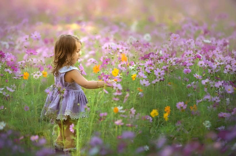 Blumen pflücken im Traum - was bedeutet das?