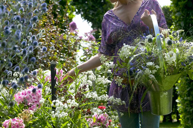 über das Pflücken von Blumen zu träumen