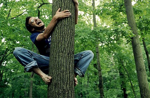 im traum auf einen baum klettern