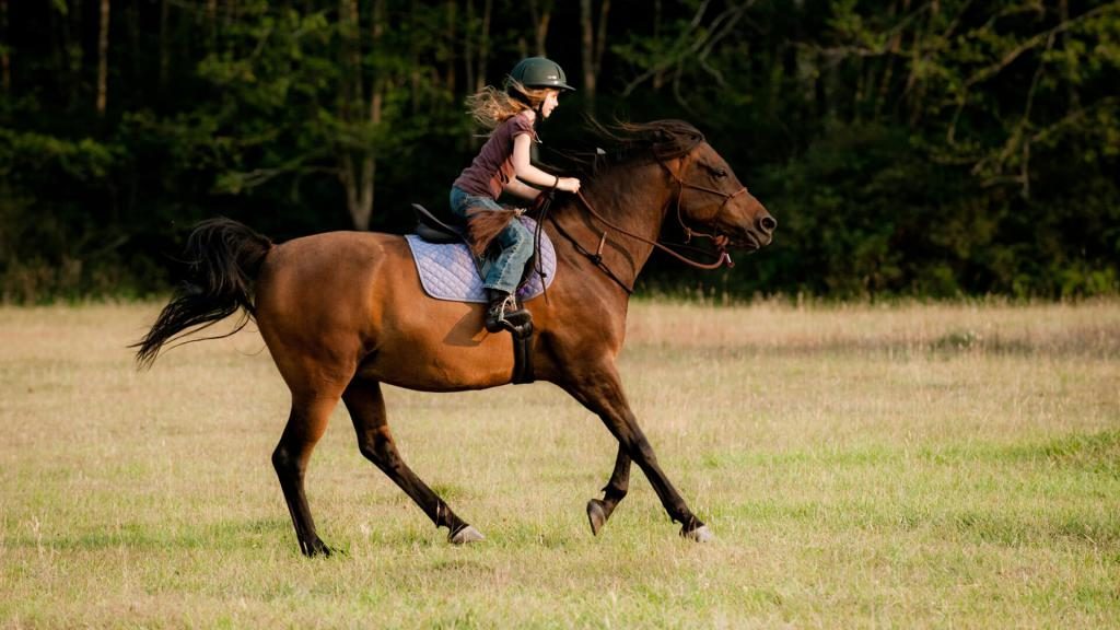 was träumt man vom reiten auf einem pferd