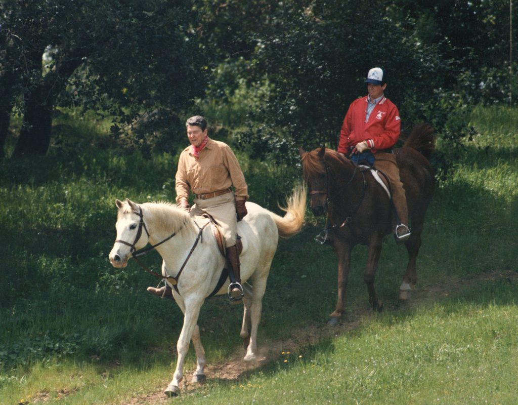 was träumt man davon, ein weißes Pferd zu reiten