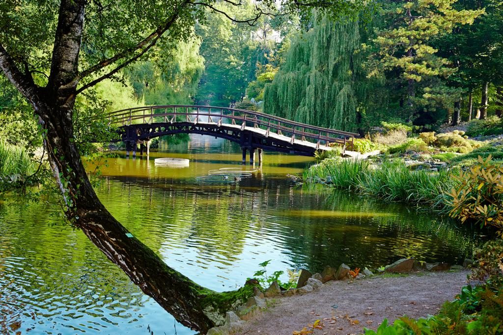 Traum von einer zerstörten Brücke