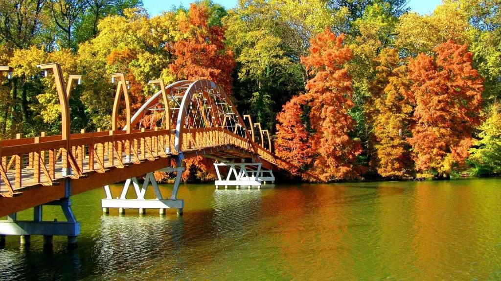 träume von einer brücke im herbstlaub