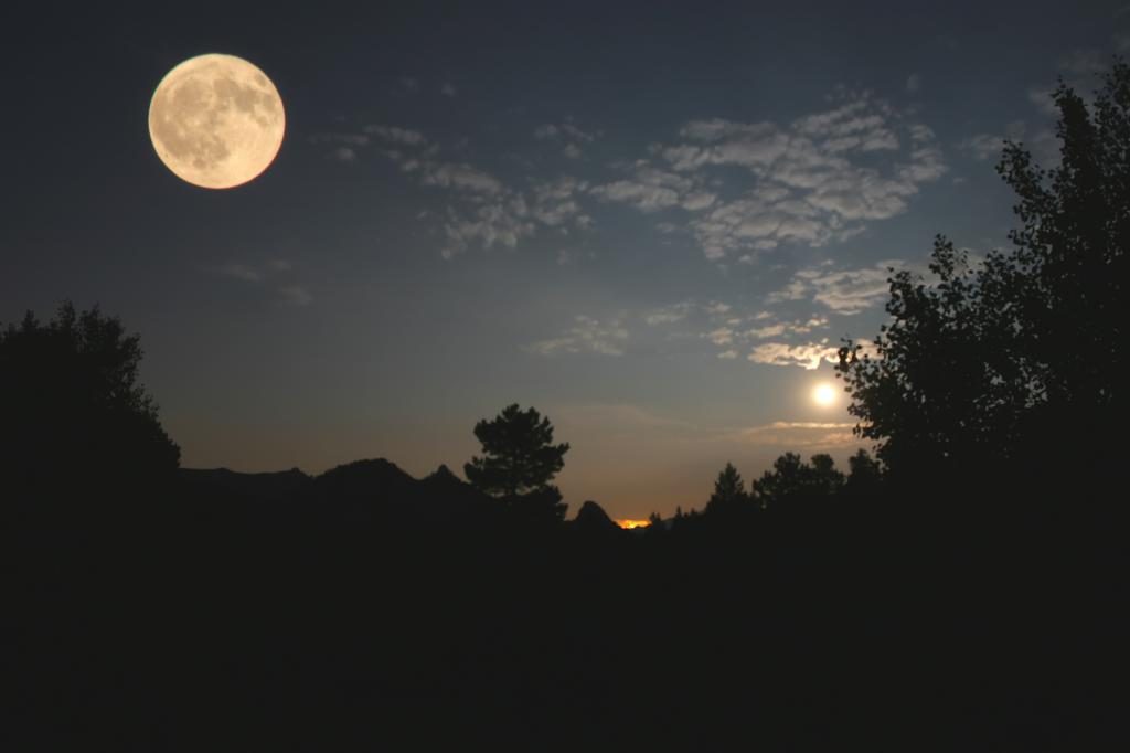 Traum über den Vollmond