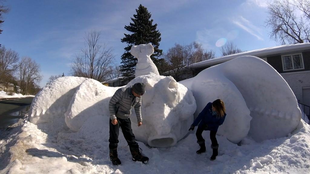 träume von schnee