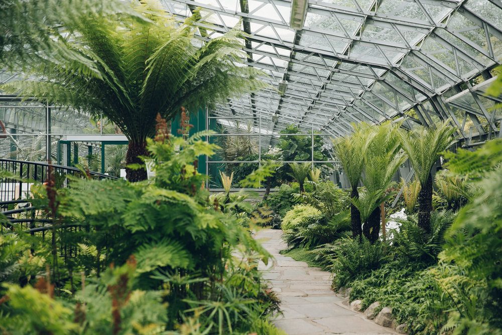 Wintergarten mit Palmen