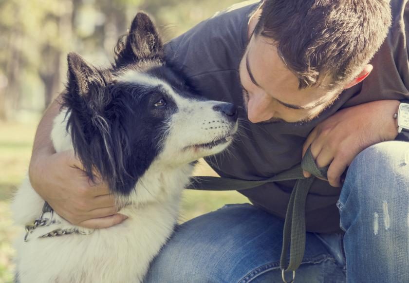 Was träumt man von einem Hund, der beißen will