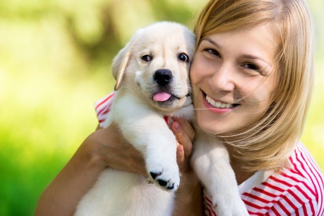 Wovon träumst du, einen Hund zu bekommen?