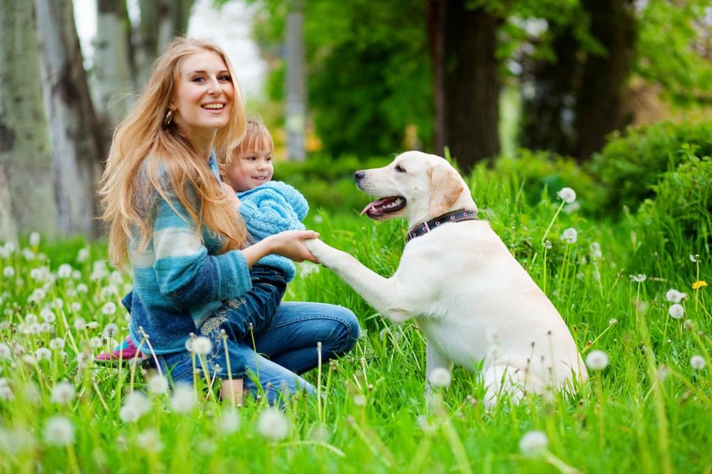 Traum, einen Hund ins Haus zu holen