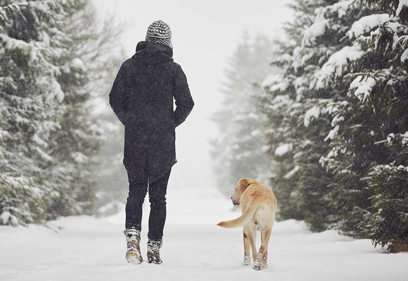 Ein Mann mit einem Hund, der im Schnee spazieren geht