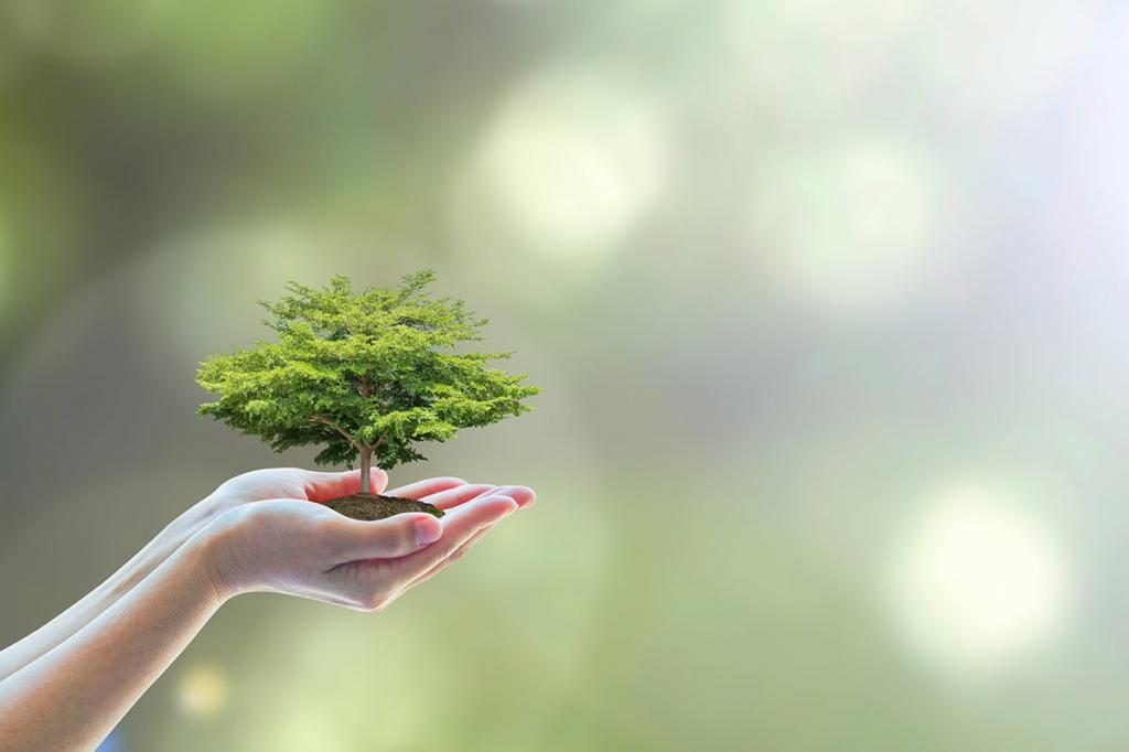 Baum in ihren Händen