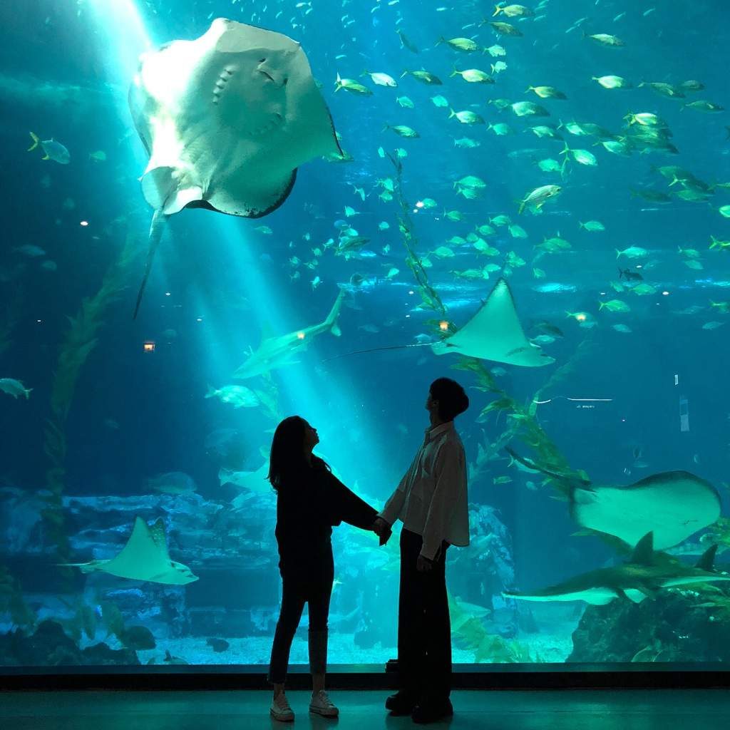 Mann und Frau im Ozeanarium