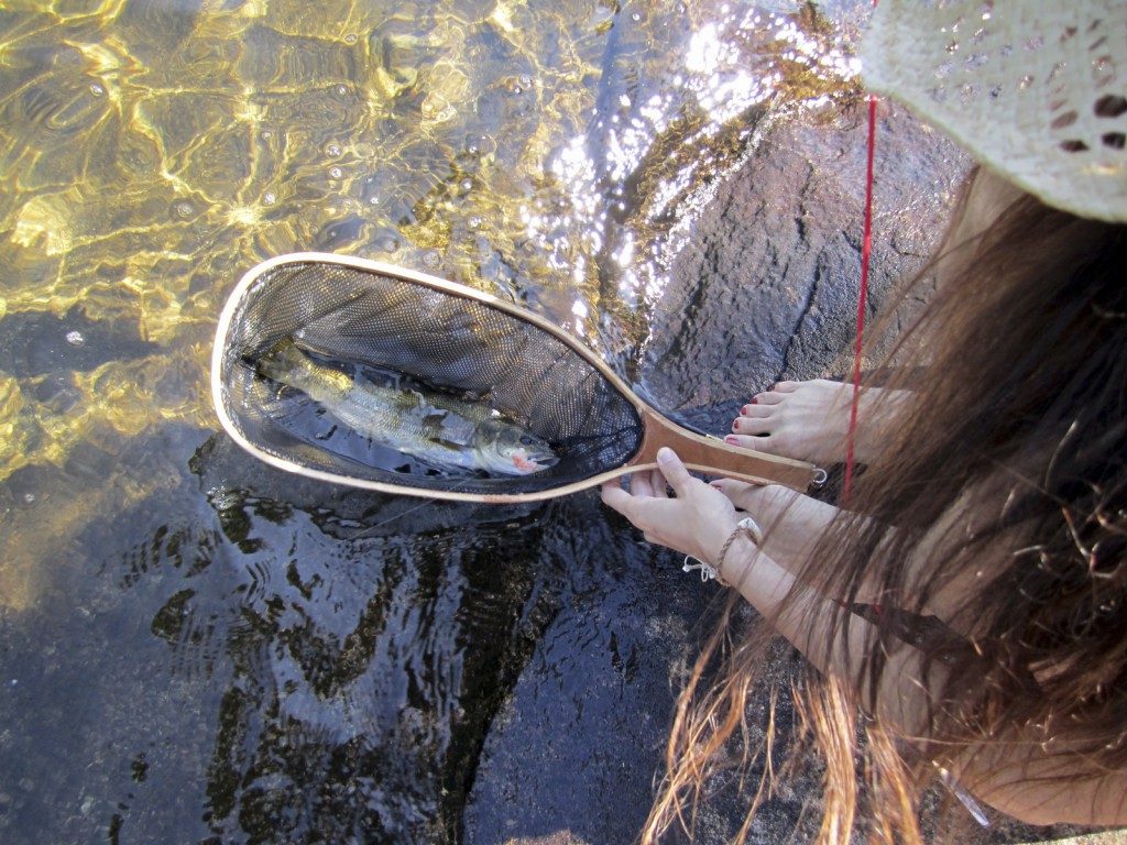 Mädchen fängt einen Fisch mit einem Netz