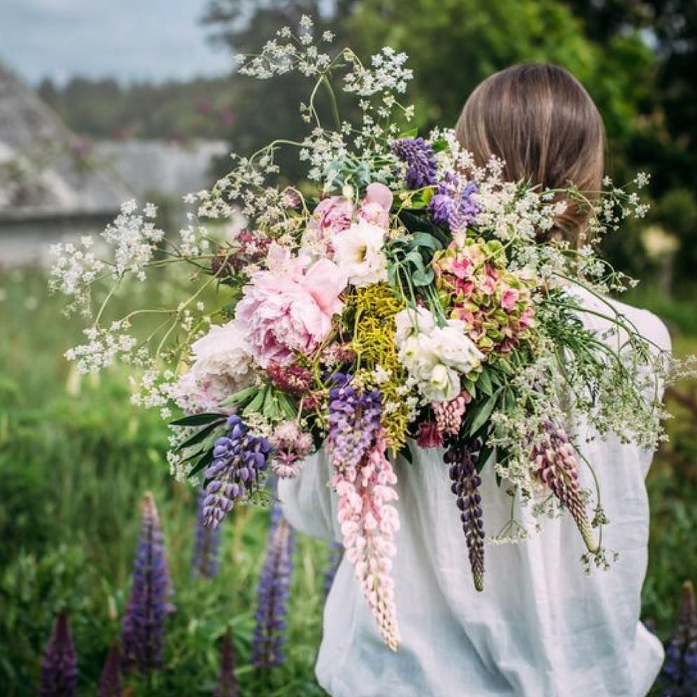 Was träumst du davon, Blumen zu zerreißen?