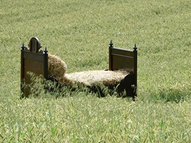 Ein Bett auf einem Feld