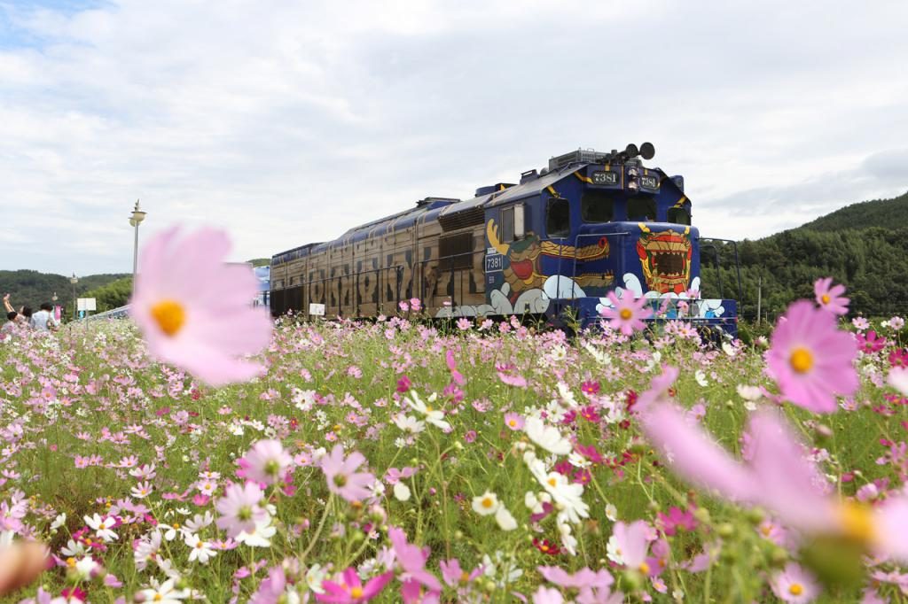 Zugfahrt im Traum