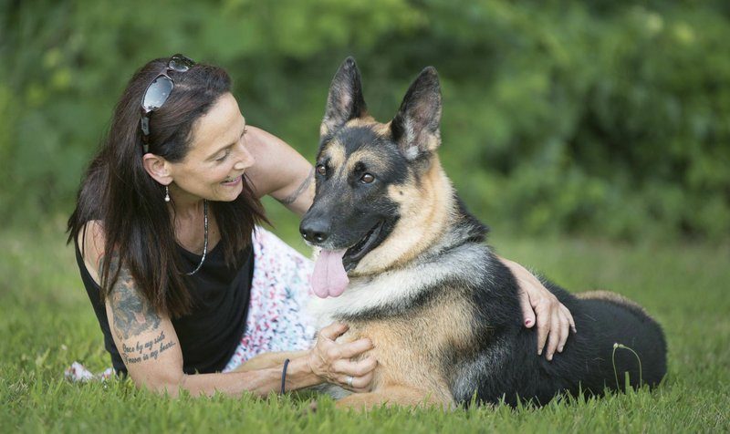 Traum über einen deutschen Schäferhund