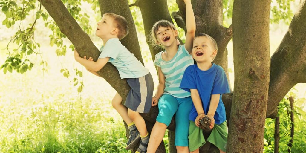 Kinder in einem Baum