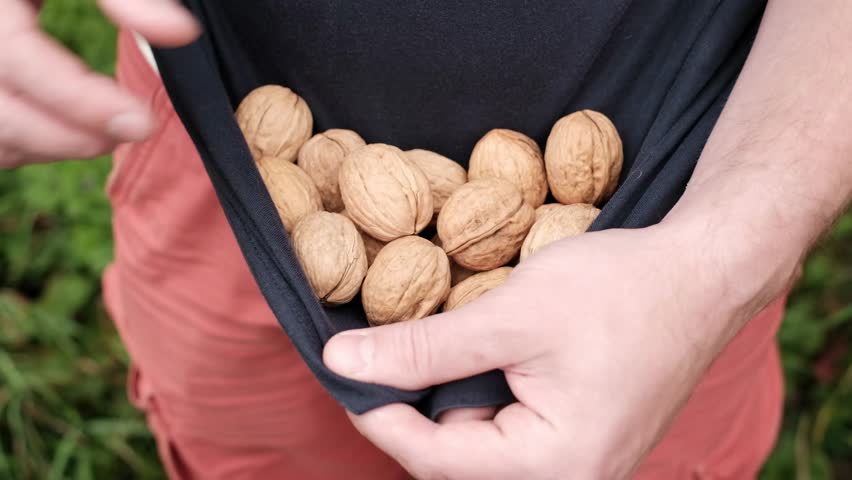 Nüsse im T-Shirt