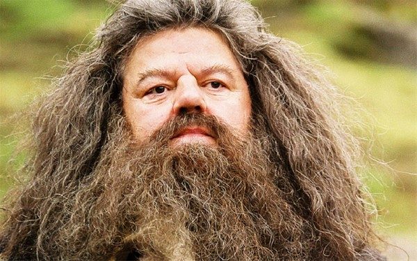 Hagrid mit einem Bart