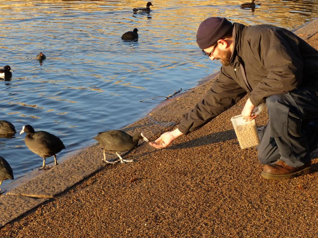 Enten füttern