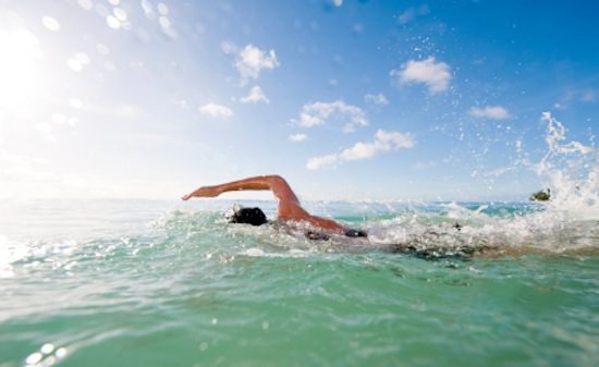 im Meer schwimmen