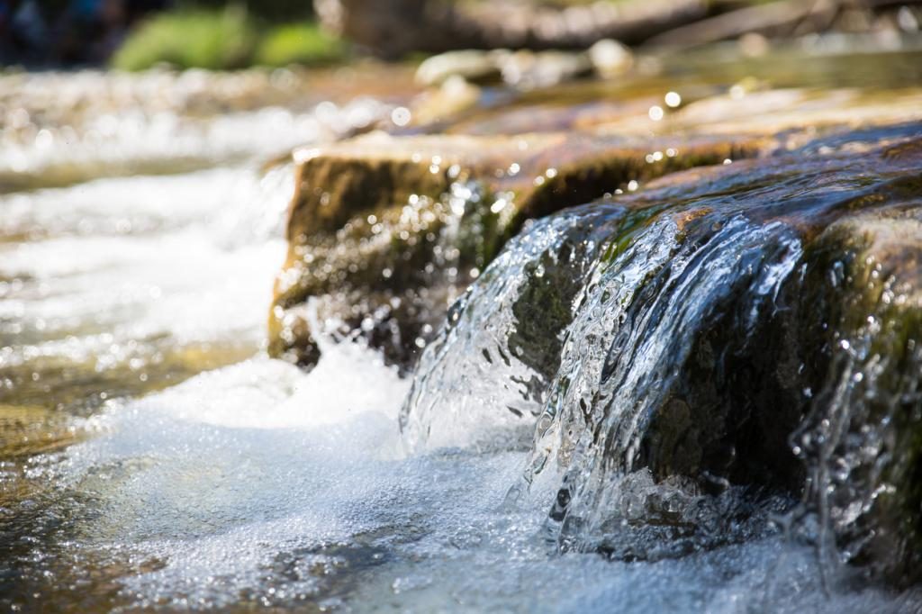 reines klares wasser traumbuch