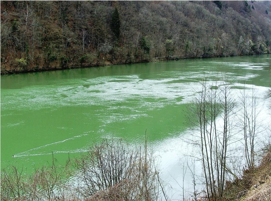 In einem Traum vom Fluss zu sehen