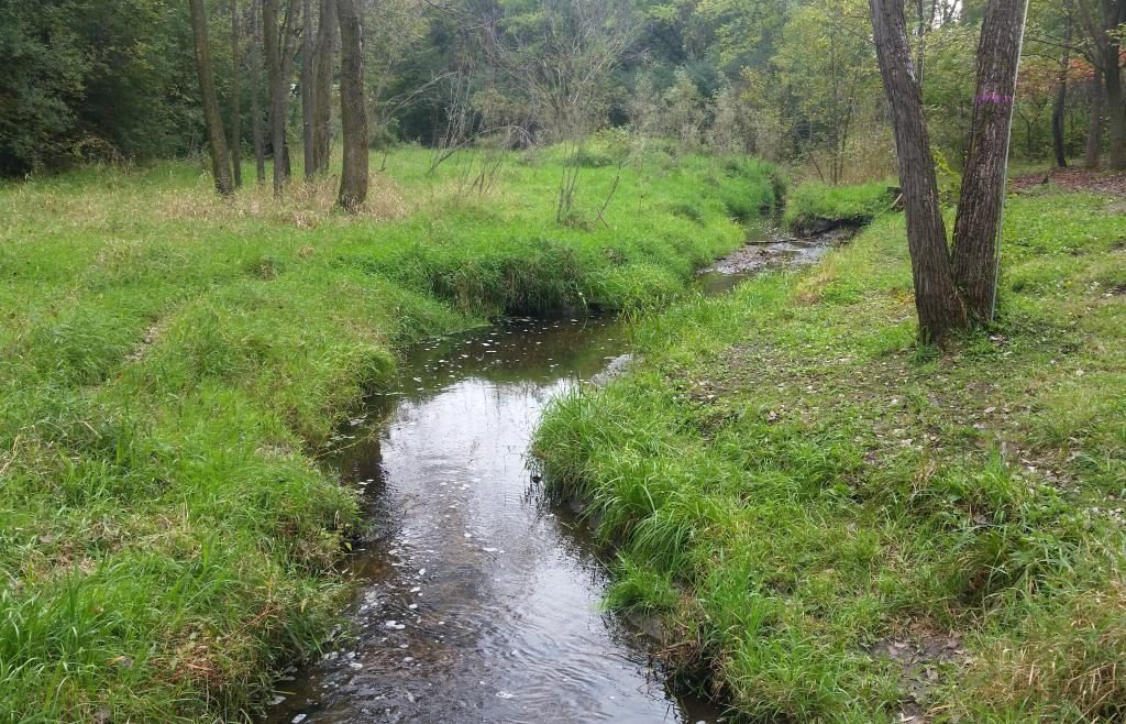 Was ist träumen Flusswasser