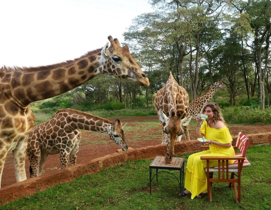 Was träumt man von einer Giraffe im Traum