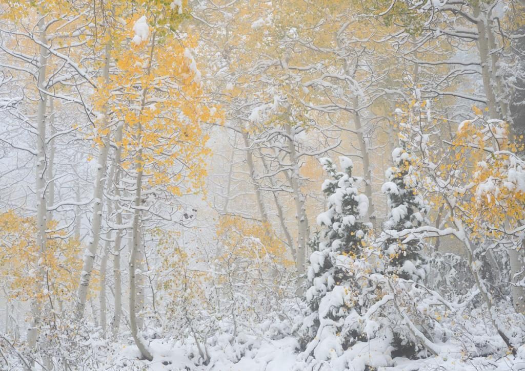 Schneefall im Herbst