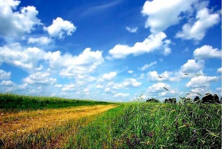 Blauer Himmel - ein Symbol der Ruhe