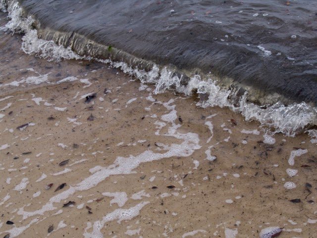 schmutziges Wasser in einem Traum zu was