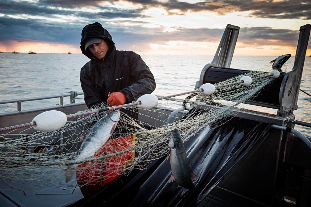 Im Traum einen großen Fisch mit der Angelrute zu fangen für einen Mann