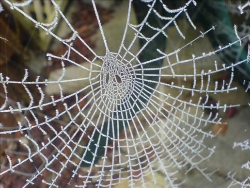 Spinnweben in einem Traum entfernen