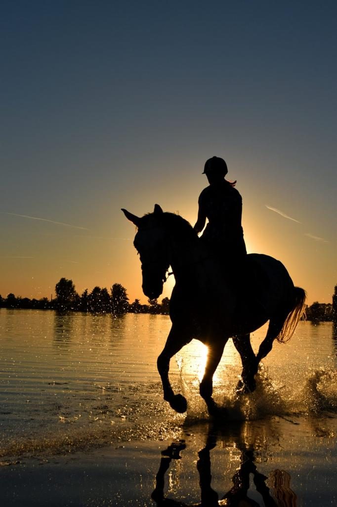 Reiten bei Sonnenuntergang