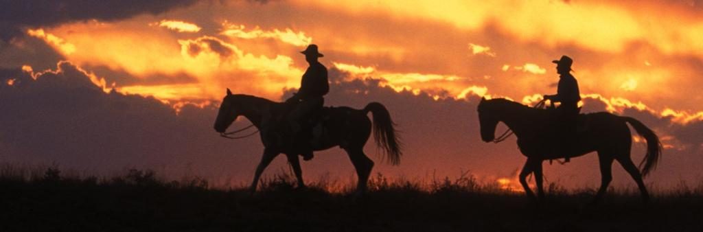 Männer reiten auf Pferden