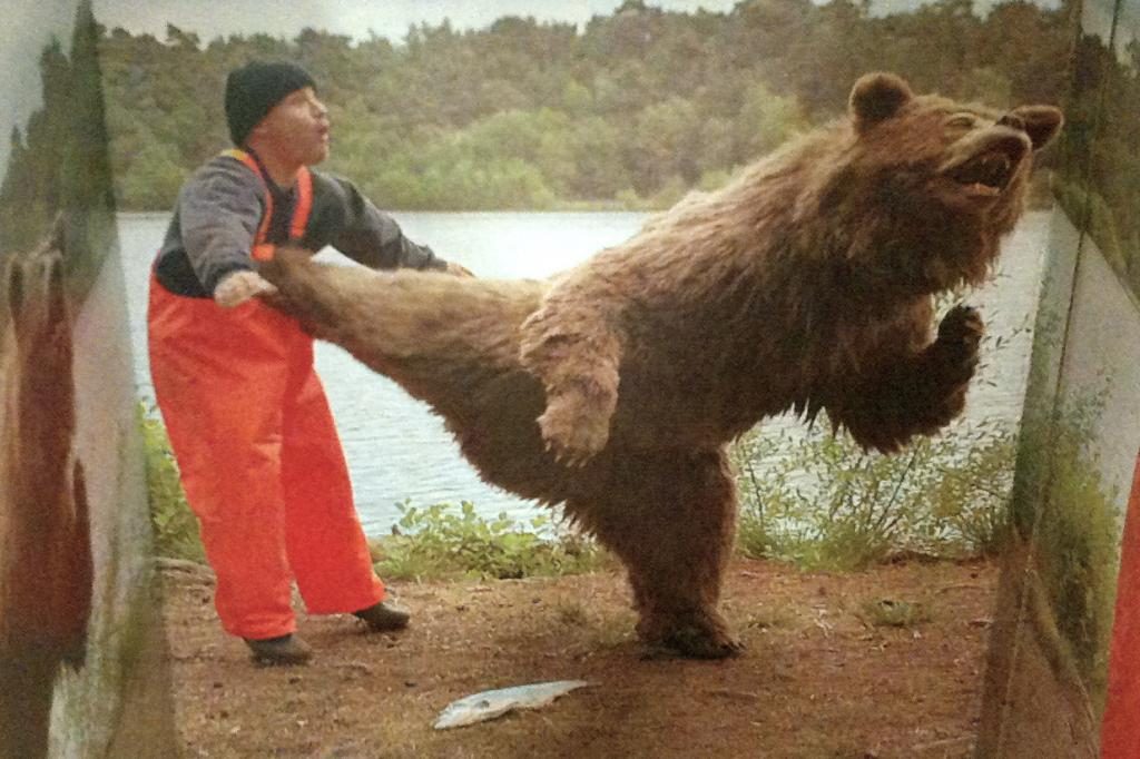 ein Bär schlägt einen Mann mit seiner Pfote