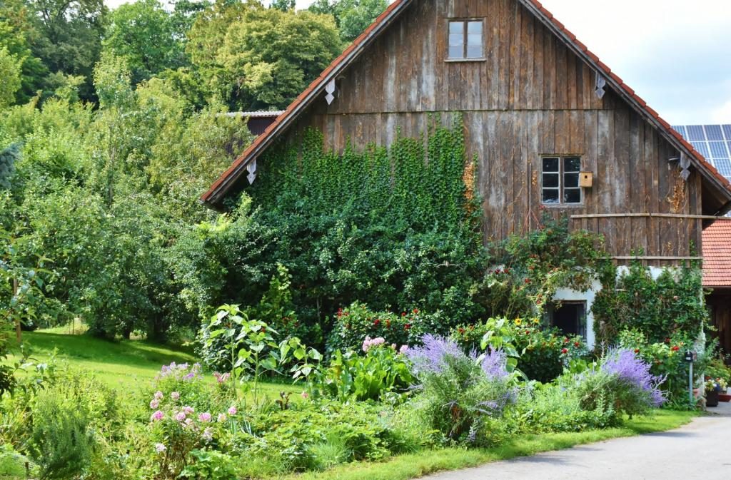 das Haus der Großmutter im Traum