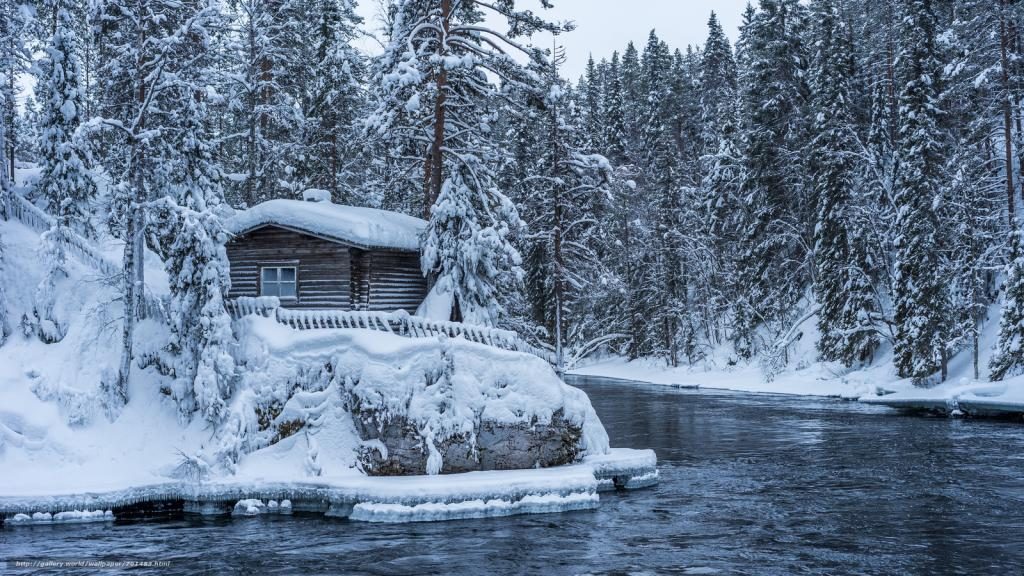 Winterliche Waldlandschaft